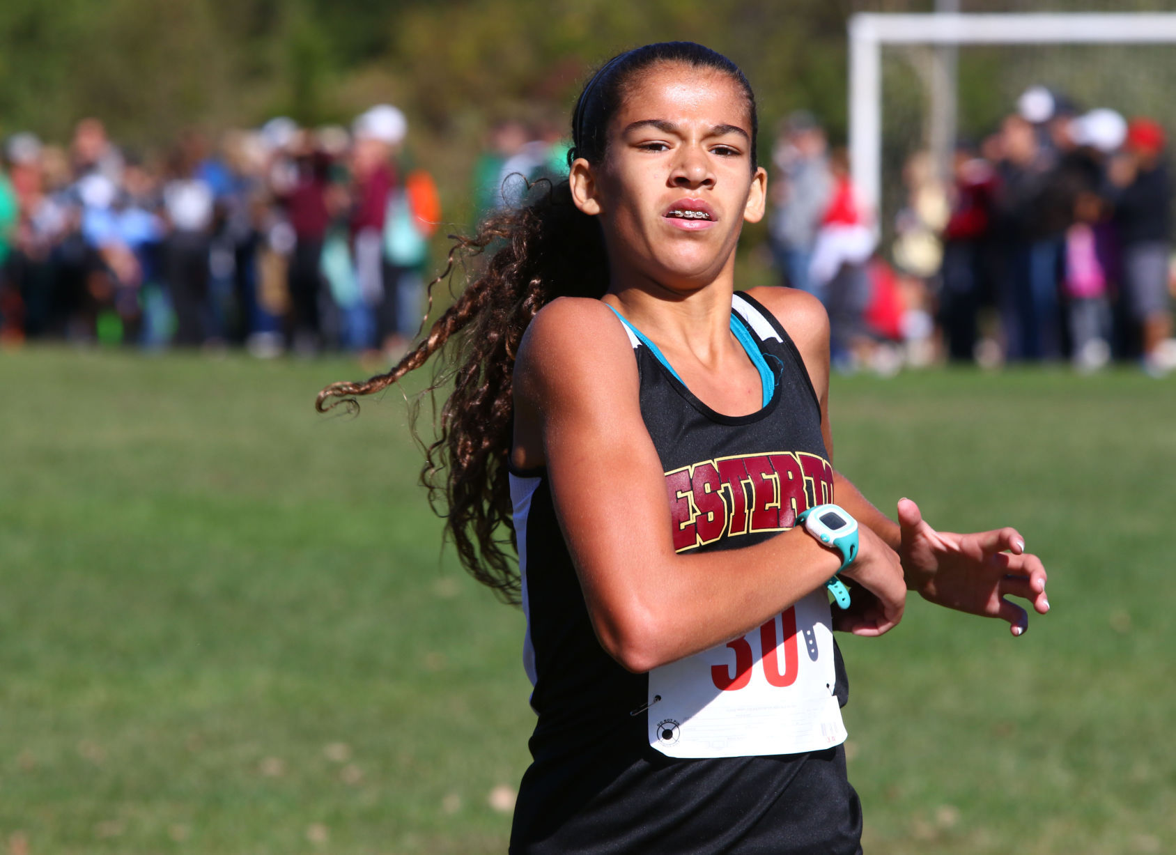 Gallery: Duneland Athletic Conference cross country meet